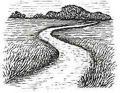 Débouchés
